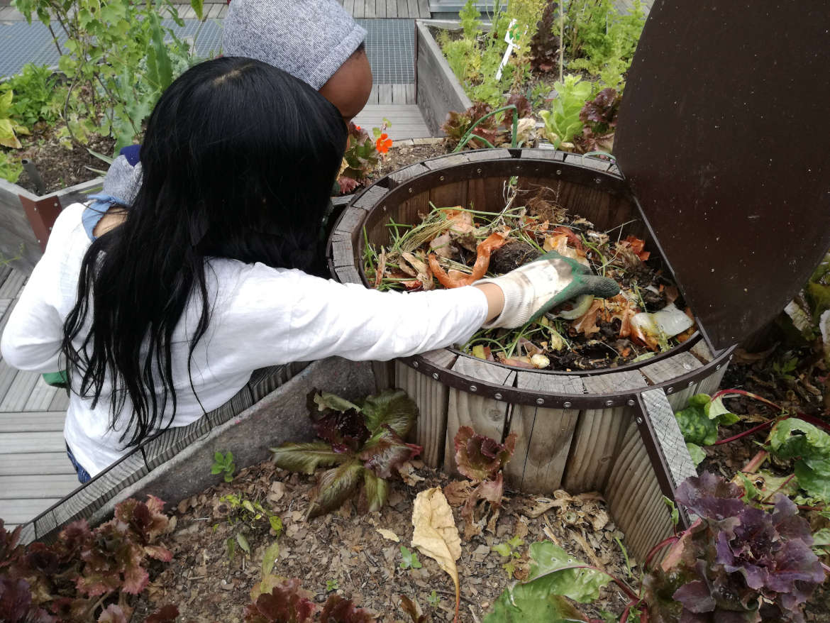 The compost of the Keyhole – Transjardins – Transgardens