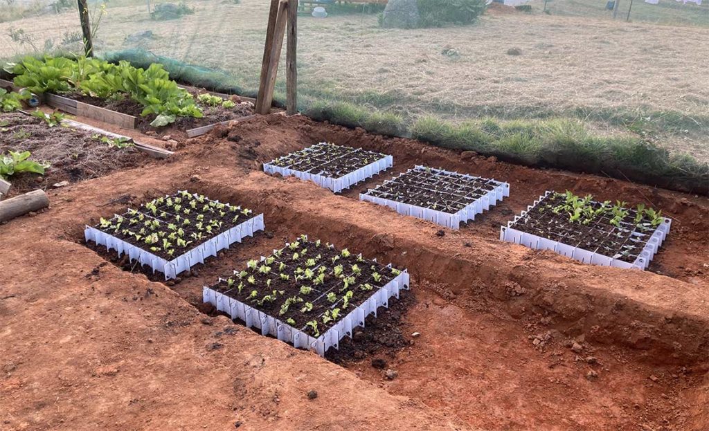 Montage d’alvéoles pour la pépinière de la serre au Jardin des Savoir