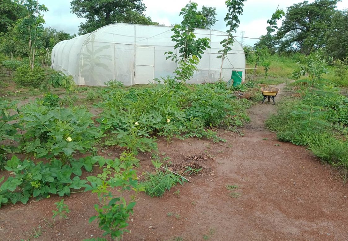 Sitemapcdatahttpsfoowindecoocomle Jardin De Balgannull